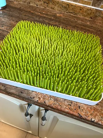 Bottle Drying Rack