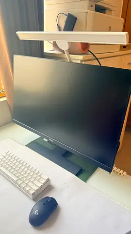 BenQ Computer Monitor