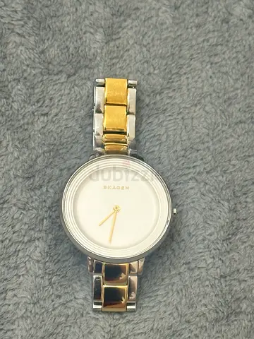 Skagen SKW2339 Women’s Watch – Two-Tone Stainless Steel