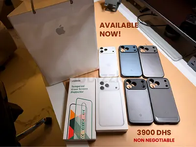 iPhone 17 Pro Max #2 | 256GB Silver