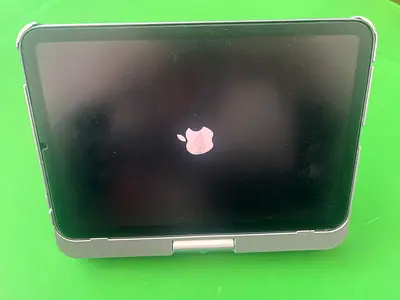 Used Apple iPad 6 mini 256 gb