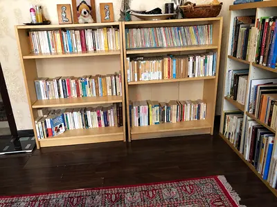 Two bookcases, very good condition