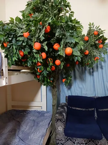 Urgent sale artificial orange tree