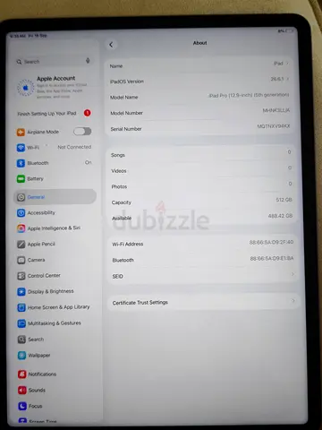 Ipad pro 13 5th generation cracked screen