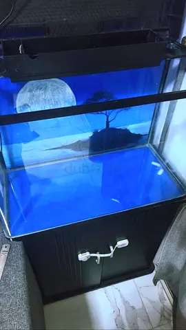 Large Glass Aquarium with Wooden Cabinet includes decor and fish food