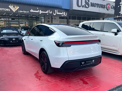 2026 Tesla MODEL Y 照片 4