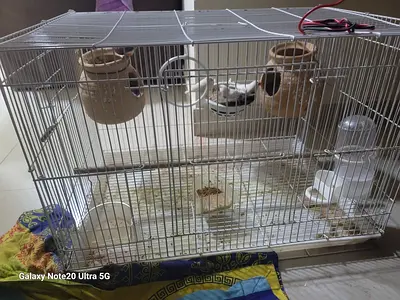 Metal bird cage 4 birds two male 2 female French Bird