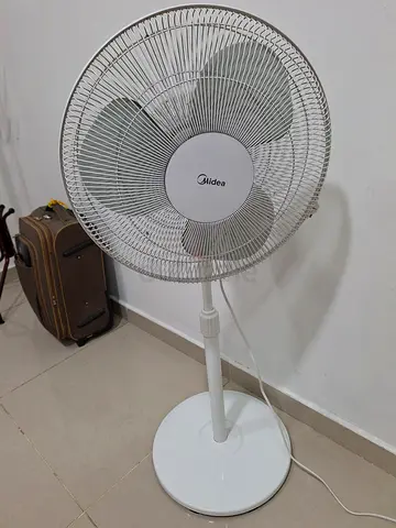 Fan