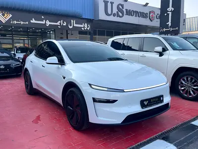 2026 Tesla MODEL Y 照片 3