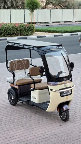 Solar Commander 3 passenger Golf cart mini 500 kms mileage