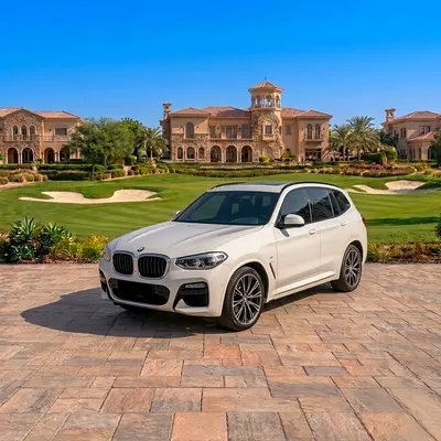 2019 BMW X3 照片 1