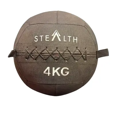 🔥 Brand New | Stealth Commercial Wall Ball Black (3kg, 4kg, 6kg, 9kg) - 2 Years Warranty