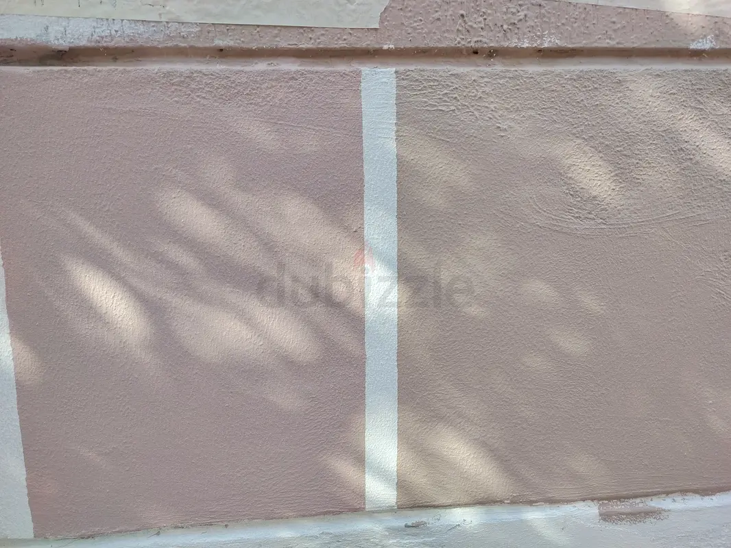 DPV_View_Image_1