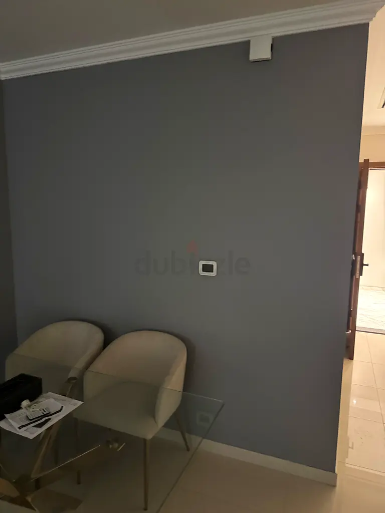 DPV_View_Image_2