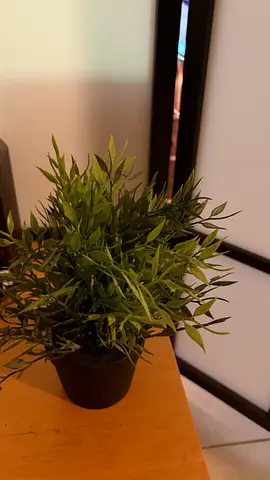 Small artificial potted plant (greenery) in black pot - good condition