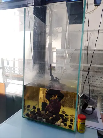 Aquarium