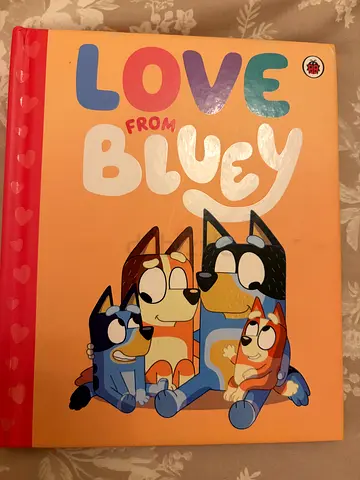 15 Children's Picture Book