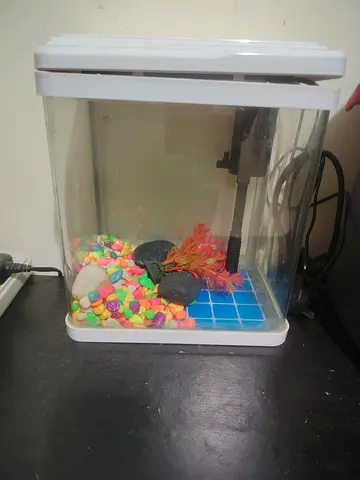 Small desktop aquarium tank with filter and accessories