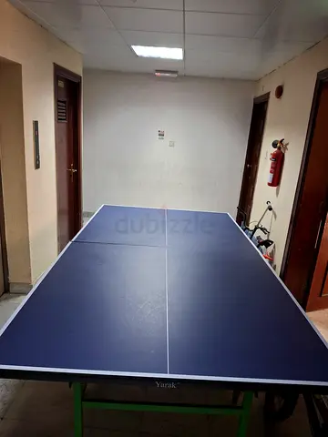 TABLE TENNIS