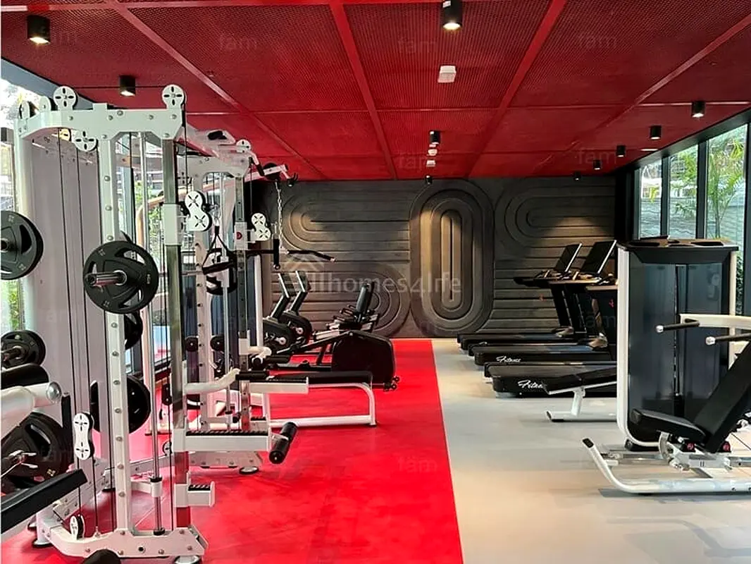 gallery-image