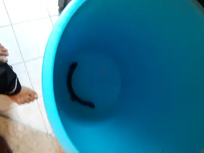 Large Blue Plastic Bucket — Good Condition