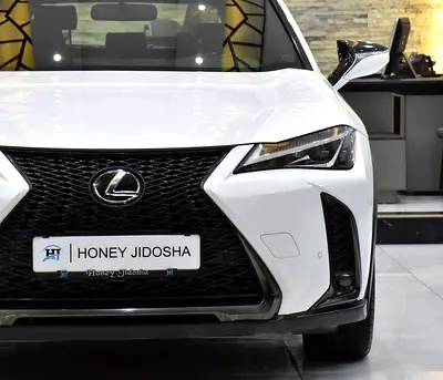 صورة 4 لـ 2020 Lexus UX-SERIES