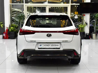 صورة 5 لـ 2020 Lexus UX-SERIES