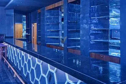 Premium Nightclub & Pub – Downtown Dubai