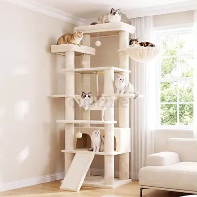 Cat indoor playground