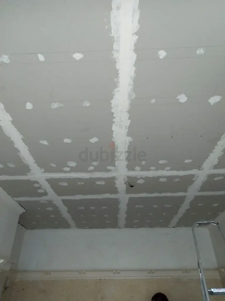DPV_View_Image_1