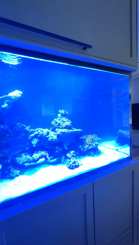 DPV_View_Image_0