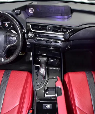 صورة 16 لـ 2020 Lexus UX-SERIES