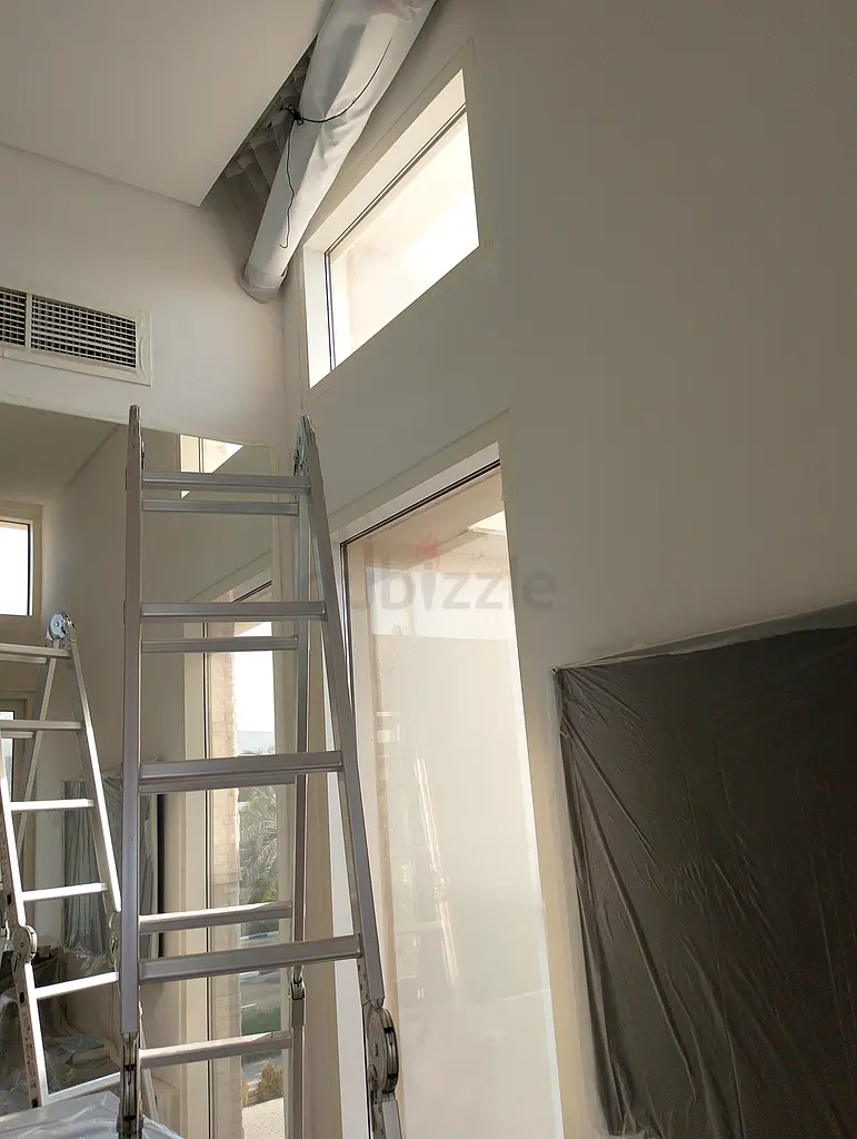 DPV_View_Image_1