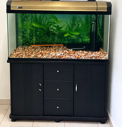 Big fish tank for sale