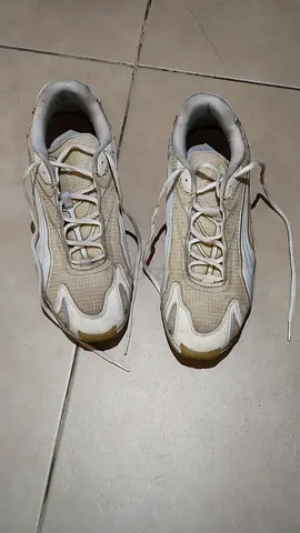 Puma inhale essential