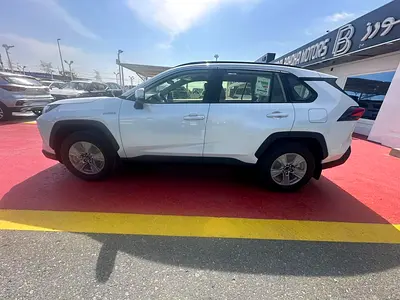 2025 Toyota RAV 4 照片 4