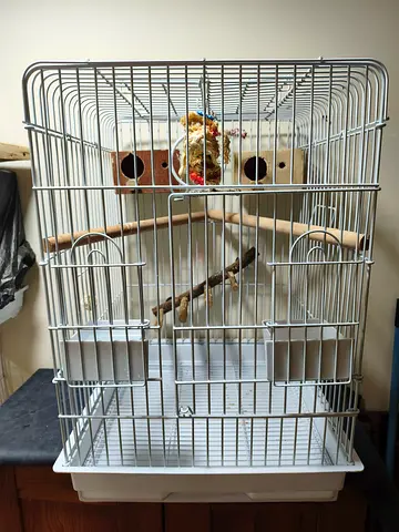 Big bird cage for sale