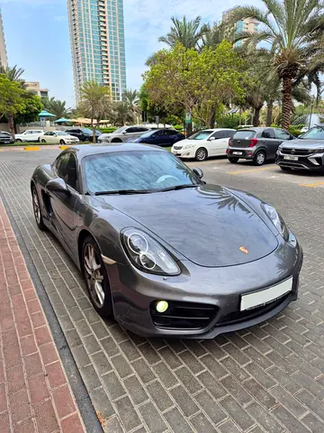 2015 Porsche CAYMAN 照片 10