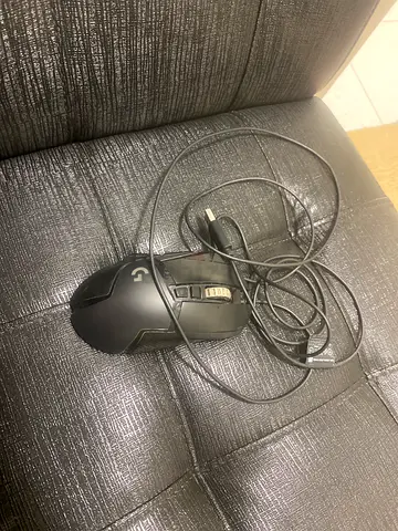 Mouse