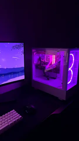 Custom RGB Gaming Desktop PC with Dual Front Fans