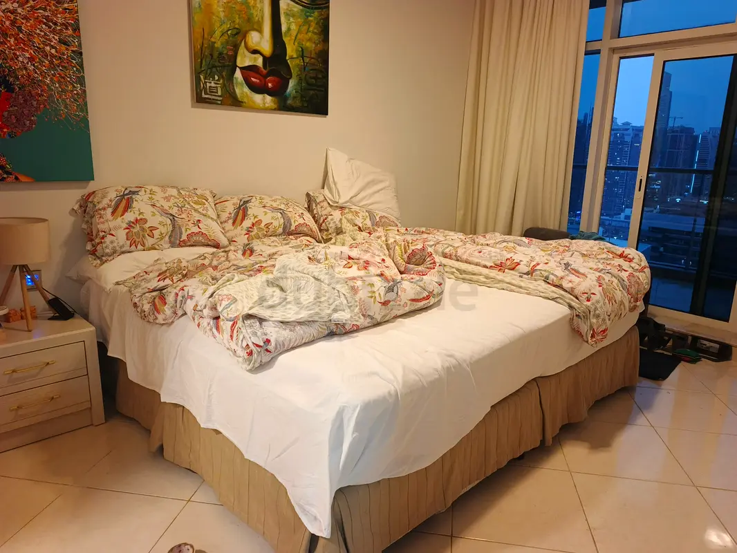 DPV_View_Image_6