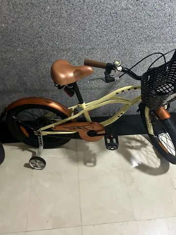 Children's Cruiser Bicycle with Training Wheels and Front Basket