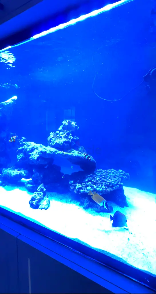 DPV_View_Image_2
