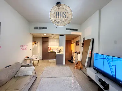 Spacious luxurious furnished ultra moder with/ free amenities