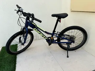 Kids 20-inch Giant Mountain Bike - Good Condition