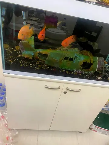 Aquarium for sale