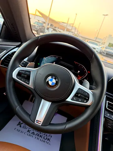 2020 BMW 8-SERIES photo 11