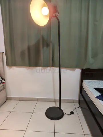 Modern Black Floor Lamp