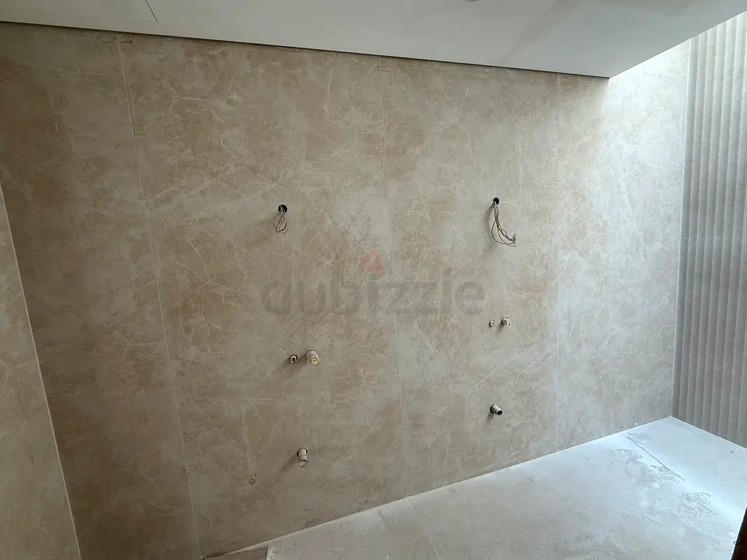 DPV_View_Image_4