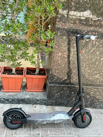 Electric scoter